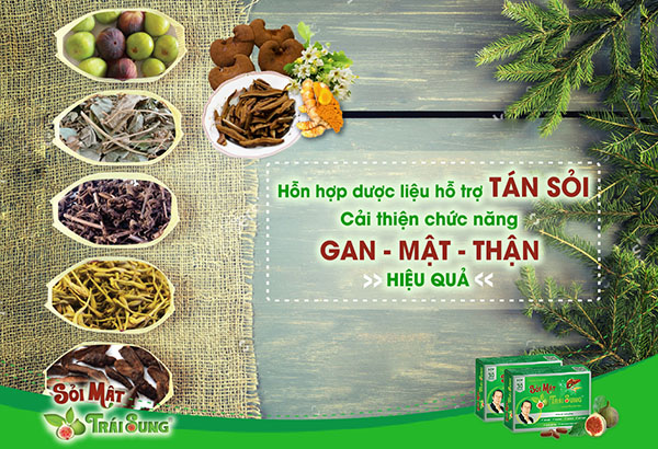 sỏi mật trái sung